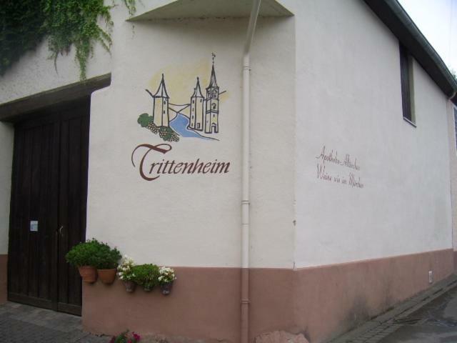 Ferienwohnung Bergblick Trittenheim Exterior photo